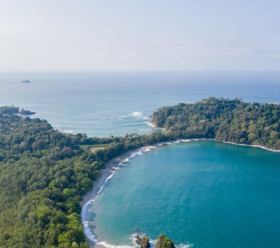 A Guide to the Mid-Pacific Coast for the MICE Industry